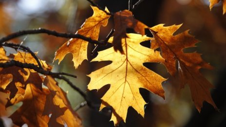 Силен вятър утре, "жълт код" в 9 области 