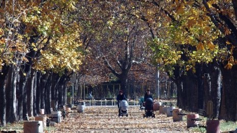 Утре ще е по-топло, до 13 градуса ни обещават