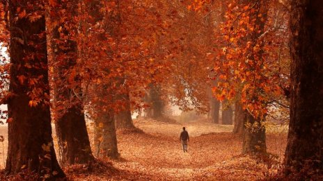 Затопля се! Слънчево, но температурите ще са до 13&deg;