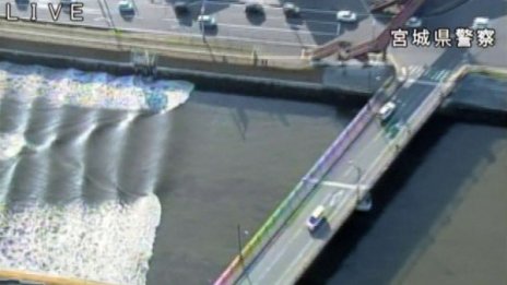 Вълна цунами с височина 1,4 метра след труса в Япония