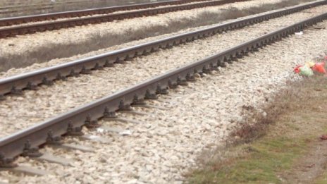 Преди Горна баня: Влакът за Перник блъсна и уби крава