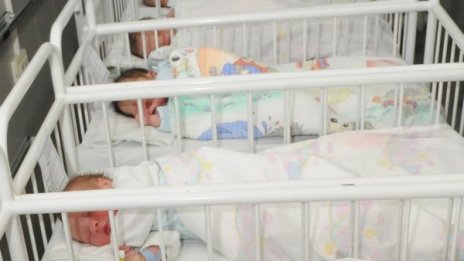 Отказали на германка да осинови българче, била лесбийка