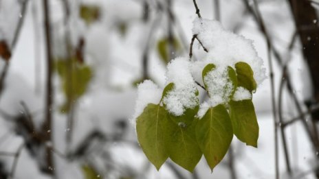 Снеговалежът спира, но утре ще е студено – до 3°С