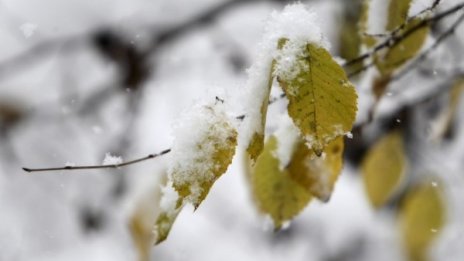 Типично за декември: Температурите &ndash; между 0&deg; и 5&deg;