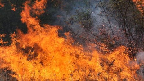 Голям пожар избухна в маслобойна в Харманли