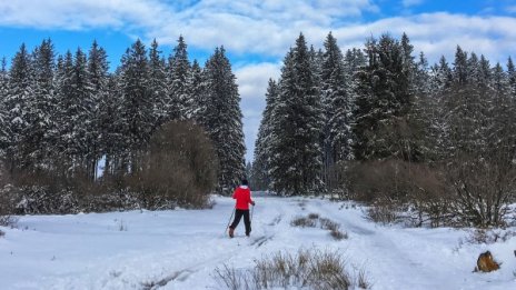 Слънчево, до 9 градуса. Сутрините все пак са студени
