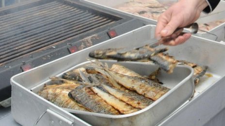 Преди Никулден: Конфискувана риба и морски продукти