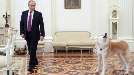 Путин е готов за среща с Тръмп във всеки момент