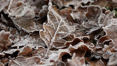 И утре студ, но без сняг &ndash; ясно ще е, тук-таме с мъгли