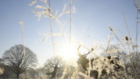 Ето това е студ! -50 градуса регистрирани в Русия