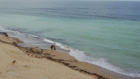 Хеликоптер на ВМС дири двама изчезнали в Черно море