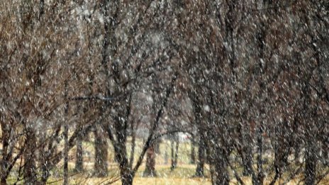 Сняг ще превалява в Западна България