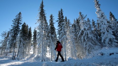 Чака си ни голям студ тези дни, но не и невиждан за България