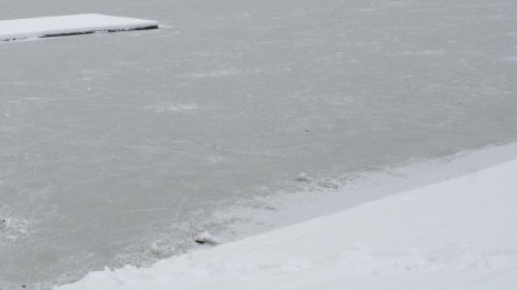 Ледоход се появи в нашия участък по Дунав