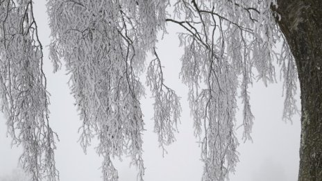 Осем жертви взе студа в Италия, 12 - в Чехия и Полша