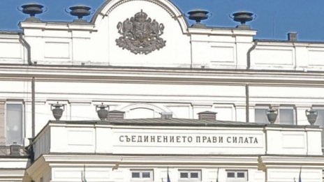 ОмбудсМая към депутатите: Не замитайте вота от референдума!