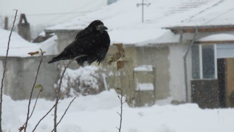 Рекордът за днес: Минус 21&deg;C в Силистренско