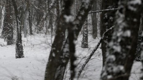 Чудо: Сърбин паднал в кладенец и оцелял при -20&deg;C