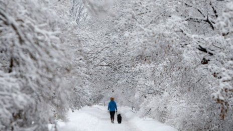 Пореден мразовит ден, но със слънце. Снегът ще спре