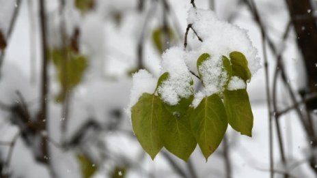 След ледената епоха – южняк и положителни градуси