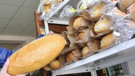 Добро сърце: Каруцари превозиха 1300 хляба за бедстващи
