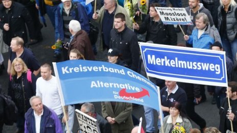 "Алтернатива за Германия" се отърва, службите ги пожалиха