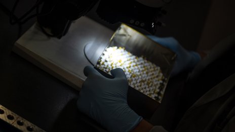 Създадоха полимер, подходящ за печат на изкуствени органи