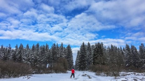 Топлото иде. Слънчево, а температурите скачат до 8°C
