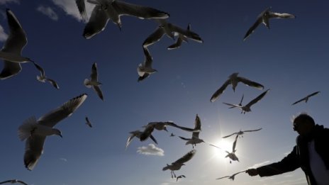 Пролетно посред февруари: Температурите &ndash; и днес до 14&deg;