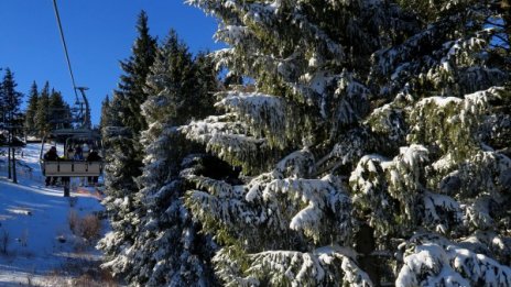 Пролетта настъпва: Слънце и температури до 11&deg; днес