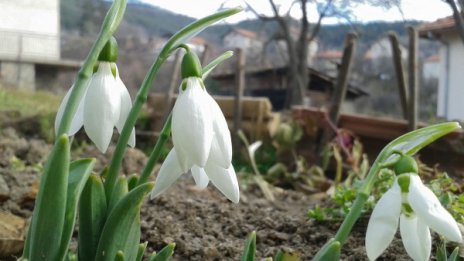 Времето днес: Слънчево, тихо, с температури до 12 градуса!
