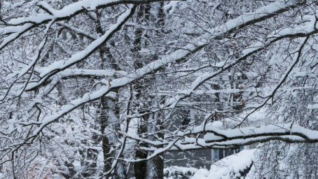 Не забравяйте чадъра: Седмицата започва с дъжд и студ