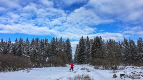 Синоптиците ни обещават: Слънчево, до 17°C