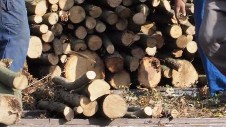 Роми пребиха двама горски в Панагюрище