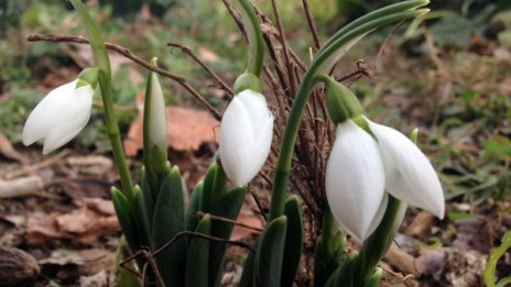 Топло и утре, на места до 22 градуса