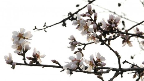 Дъжд и облаци до обяд, температурите &ndash; до 14&deg;С