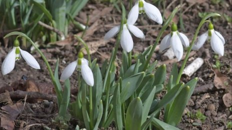Добри прогнози: Слънце за празника и уикенда