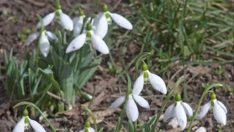 На празник и времето ще е празнично, слънце и 16&deg;