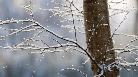 София осъмна с тънка бяла премяна