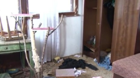 От "любов" към животните: Чужда къща &ndash; незаконен приют!