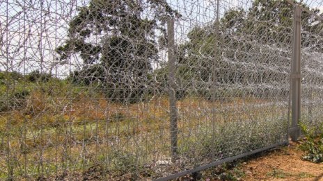 За 3 дни: Хванаха 34 бежанци на границата