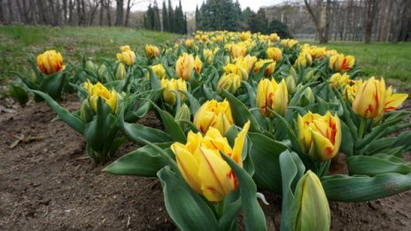 Времето в четвъртък: Облачно, но топло