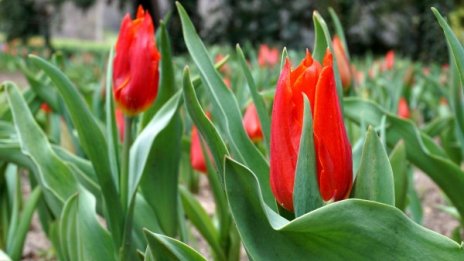 Слънчева събота, градусите до 18&deg;