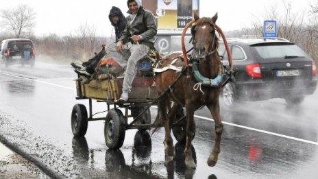 Чипират конете в Ботевград, пускали ги свободно по улиците