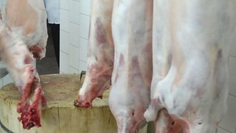 Иззеха 1300 кг месо от цех в Кърджали