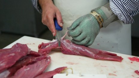 Експлоатация до кръв! Месото в Германия е по-евтино, защото...