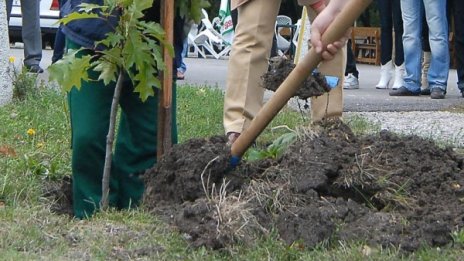 Засадиха над 3300 фиданки около Прохода на републиката