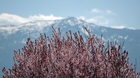 Времето в петък: На Запад облаци, термометрите – до 17°C