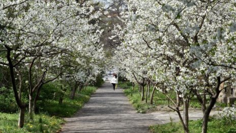 Не на шега: Първи април идва със слънце