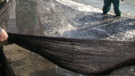 Намериха бракониерски мрежи с риба в "Тича"